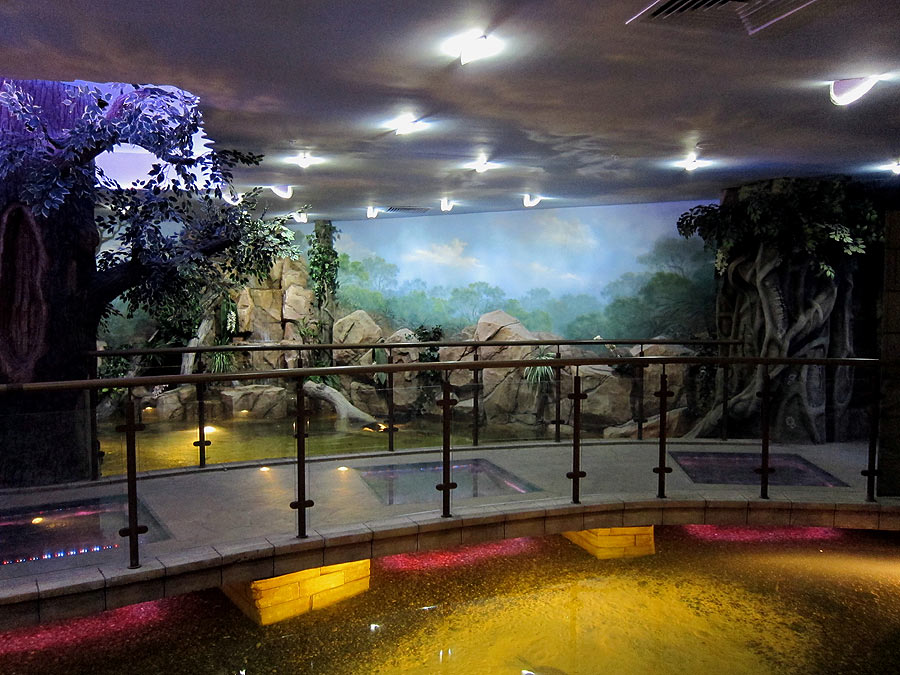 Зона "Амазонка". Мостик со стеклянными вставками. Фото Николая Сафонова