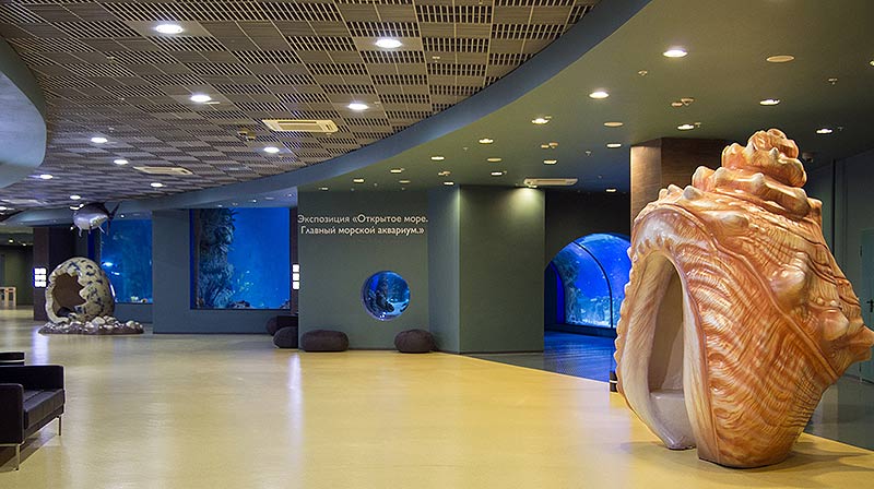 The main marine aquarium of the Moskvarium Oceanarium