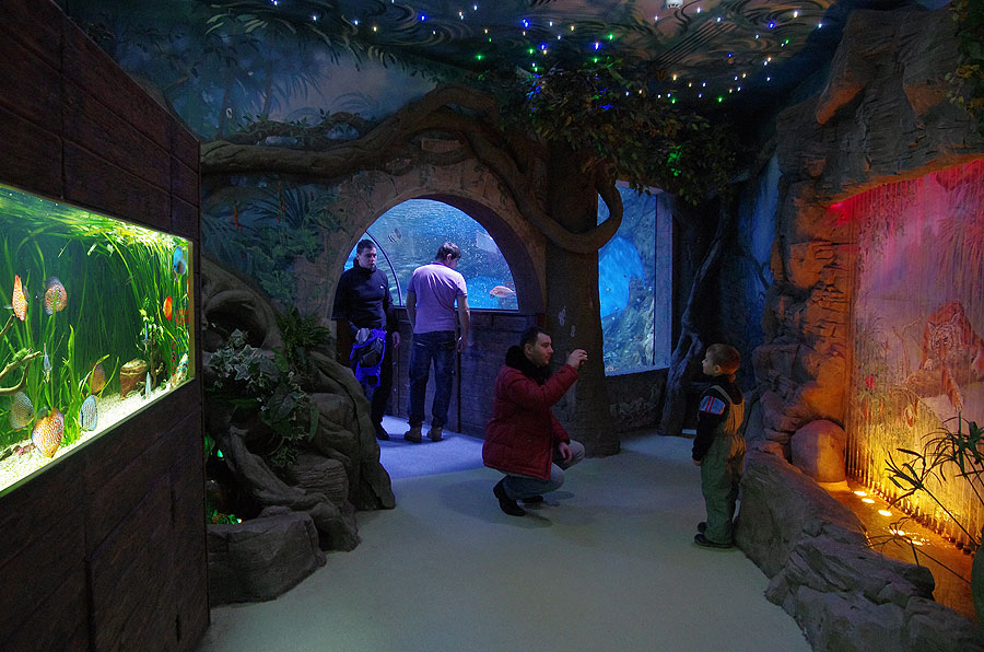 The exposition of Oceanarium ends with the “Tropics” zone