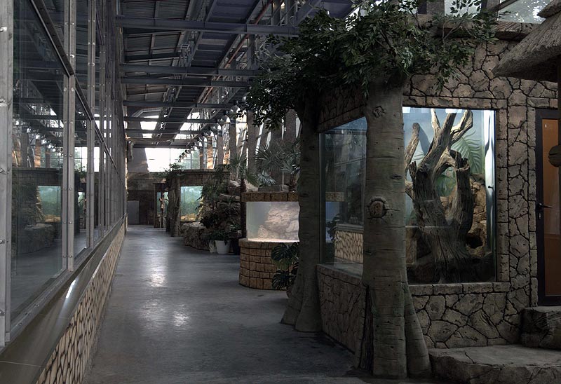 Зоопарк фото террариум