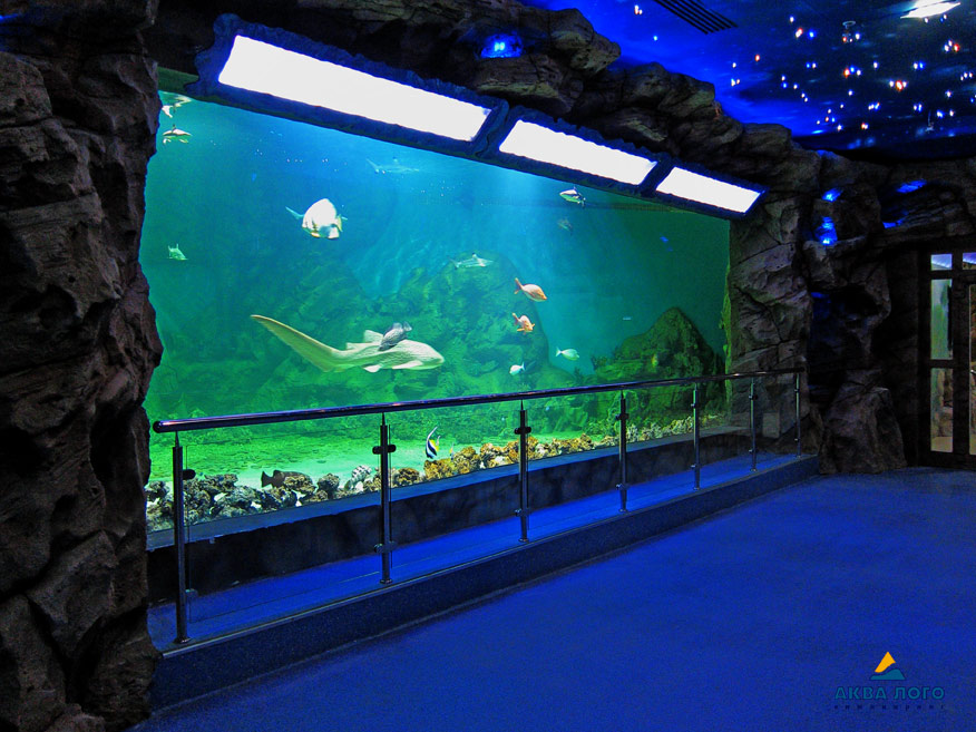 Смотровое стекло главного аквариума имеет площадь 17,5 кв.м