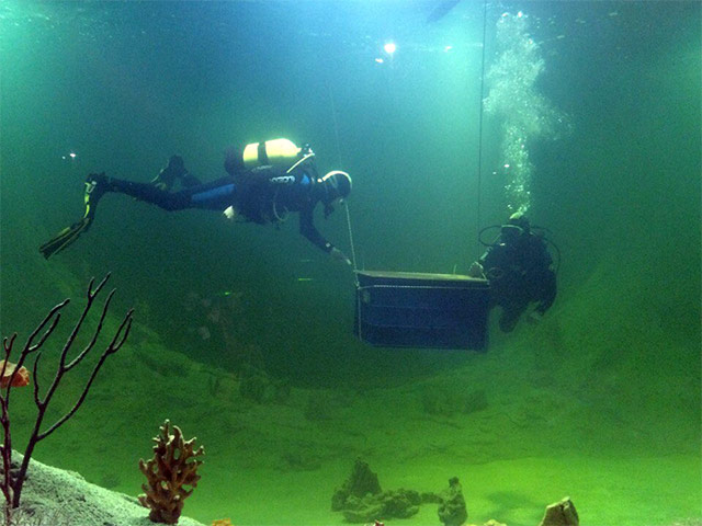 Первых посетителей ждал подводный сюрприз
