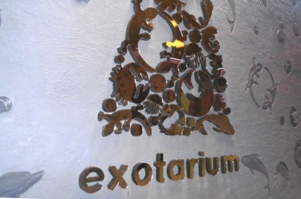 Начало экспозиции Экзотариума