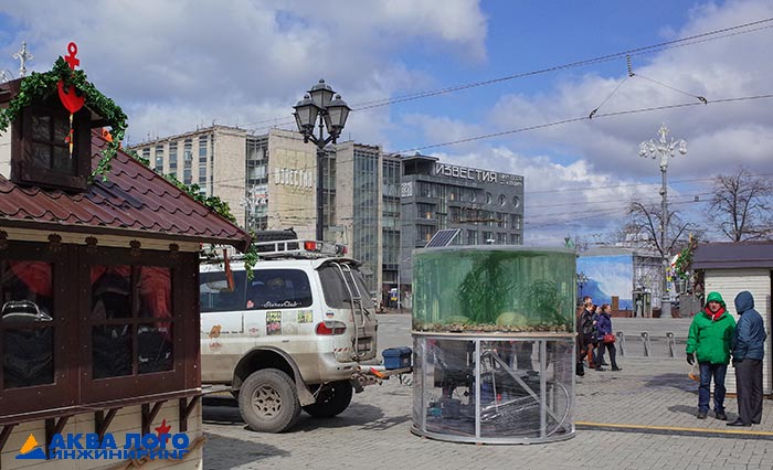 Фото 1. Аквариум установлен на видном и проходном месте Пушкинской площади.