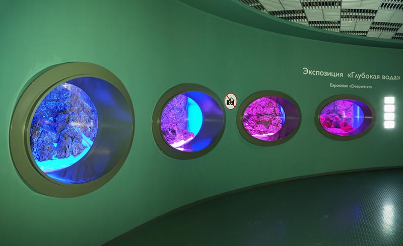 Экспозиция «Глубокая вода», аквариумы 40 - 43