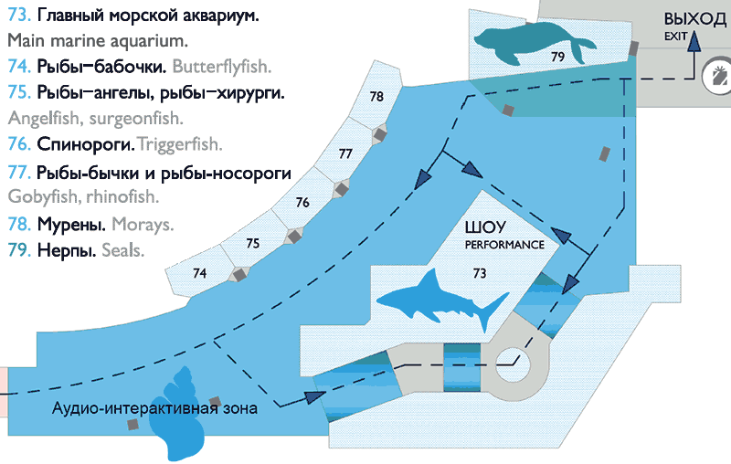 Схема расположения аудио-
интерактивной зоны, аквариумов 73-78 и бассейна 79
