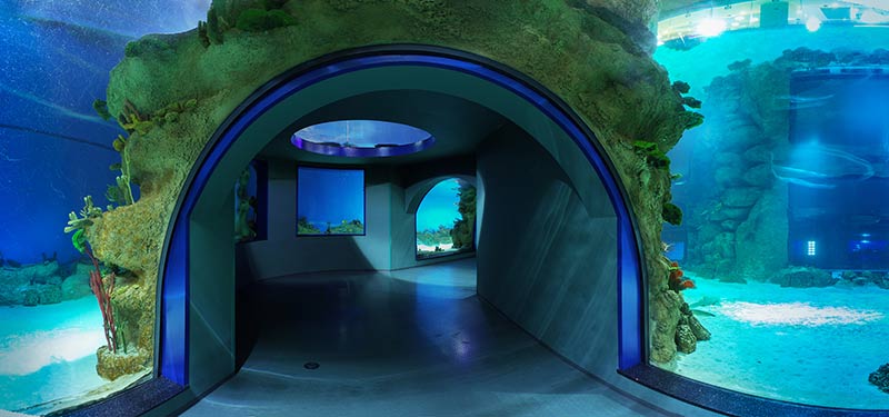 Туннель главного
морского аквариума