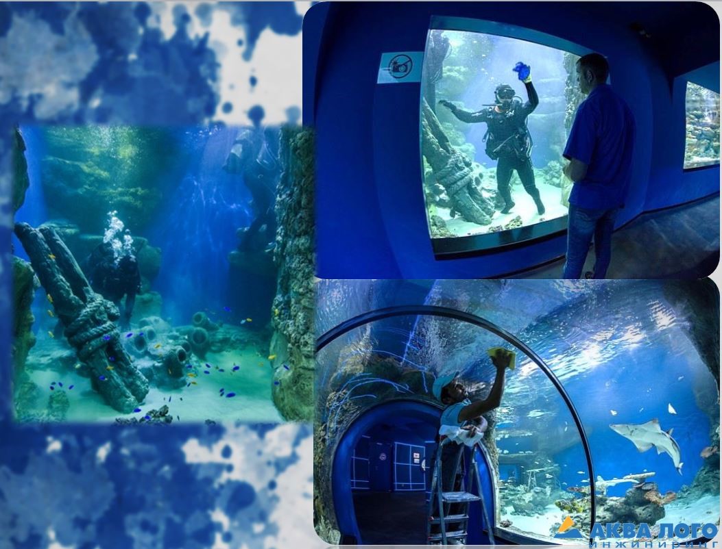 The maintenance of aquariums