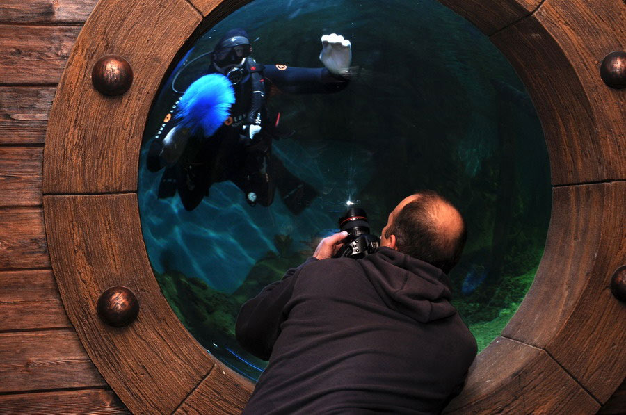 The convex porthole (blister) attracts photographers