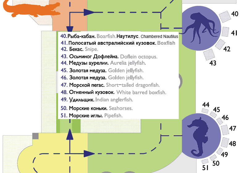 Схема расположения аквариумов 40 - 51