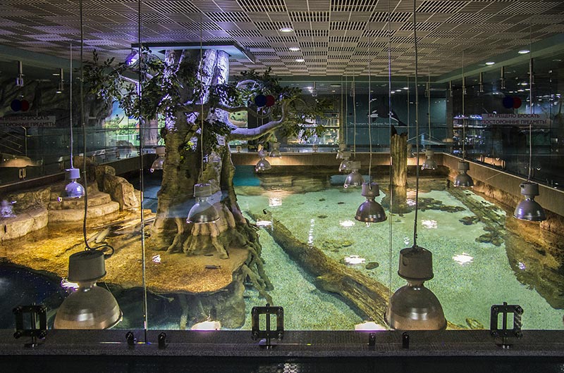Вид на аквариум со второго уровня