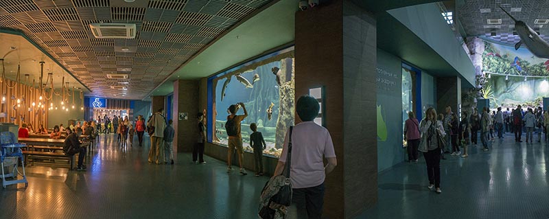 Самый большой пресноводный аквариум доступен для обзора с разных сторон