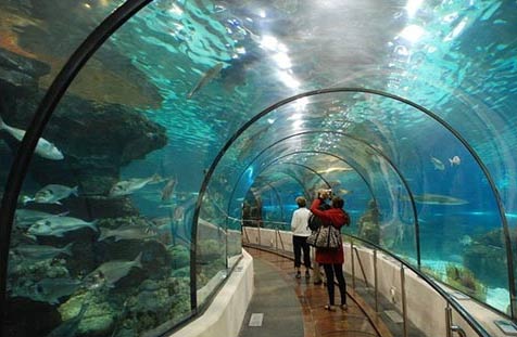 Барселонский аквариум, AQUARIUM DE BARCELONA