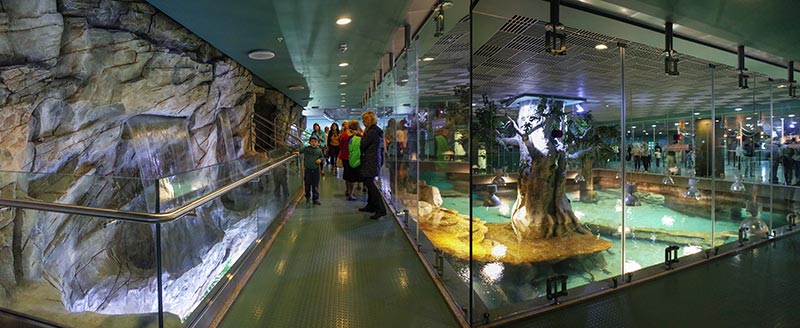 The exposition "Flooded forest", upper level