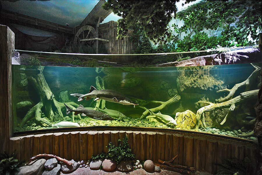 The aquarium complex in the exposition “Forests and steppes”