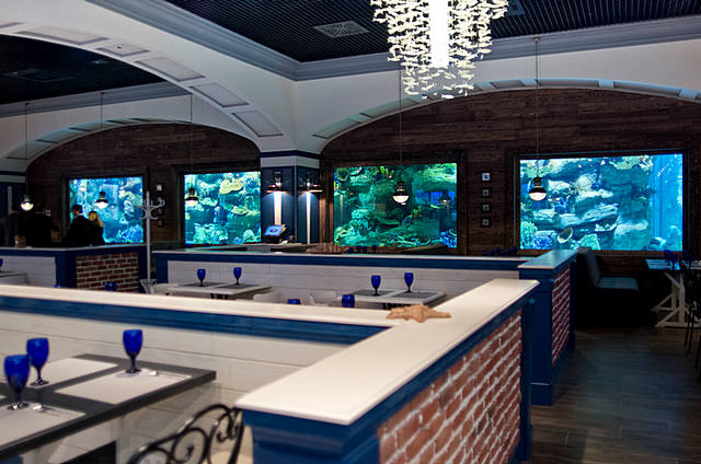 View of the aquarium from the restaurant