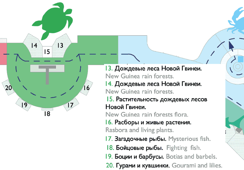 Схема расположения
аквариумов 13 - 20