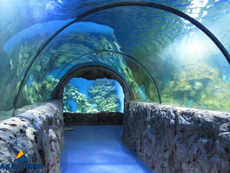 Прозрачный сводчатый туннель главного аквариума