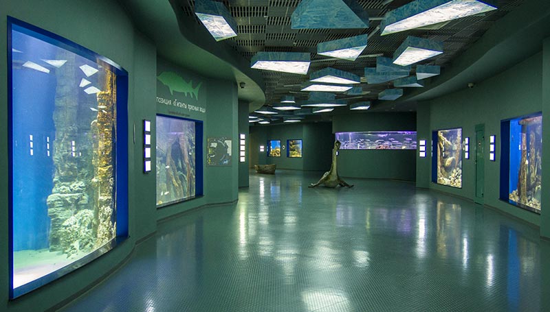 Интерьер аквариумной экспозиции Москвариума выполнен в минималистическом стиле