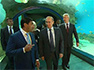 Президент Владимир Путин посетил 

океанариум на ВДНХ