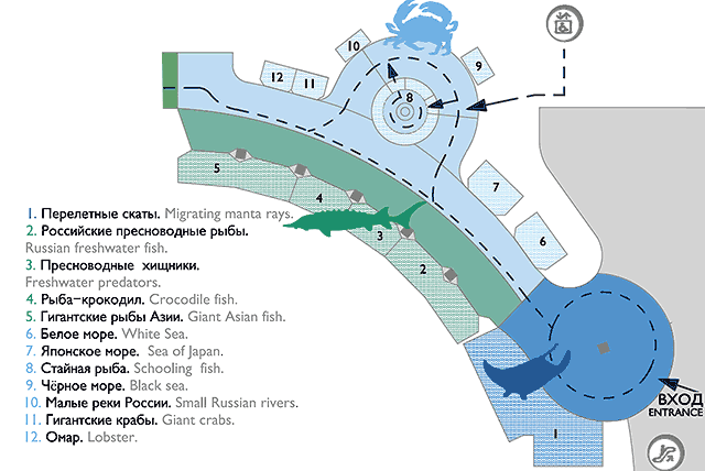 Схема расположения аквариумов 1 - 12