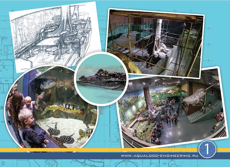 Design and construction of oceanariums