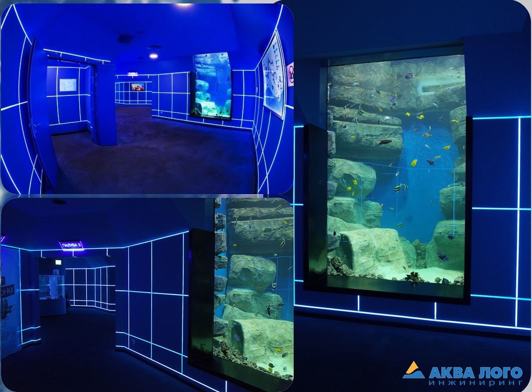 Первый аквариум экспозиции